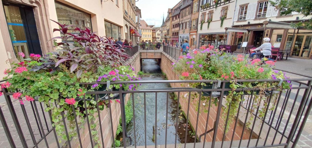 Le Green St Leon : Lit Queen Size * Wifi * Ideal Couple Colmar Exteriér fotografie