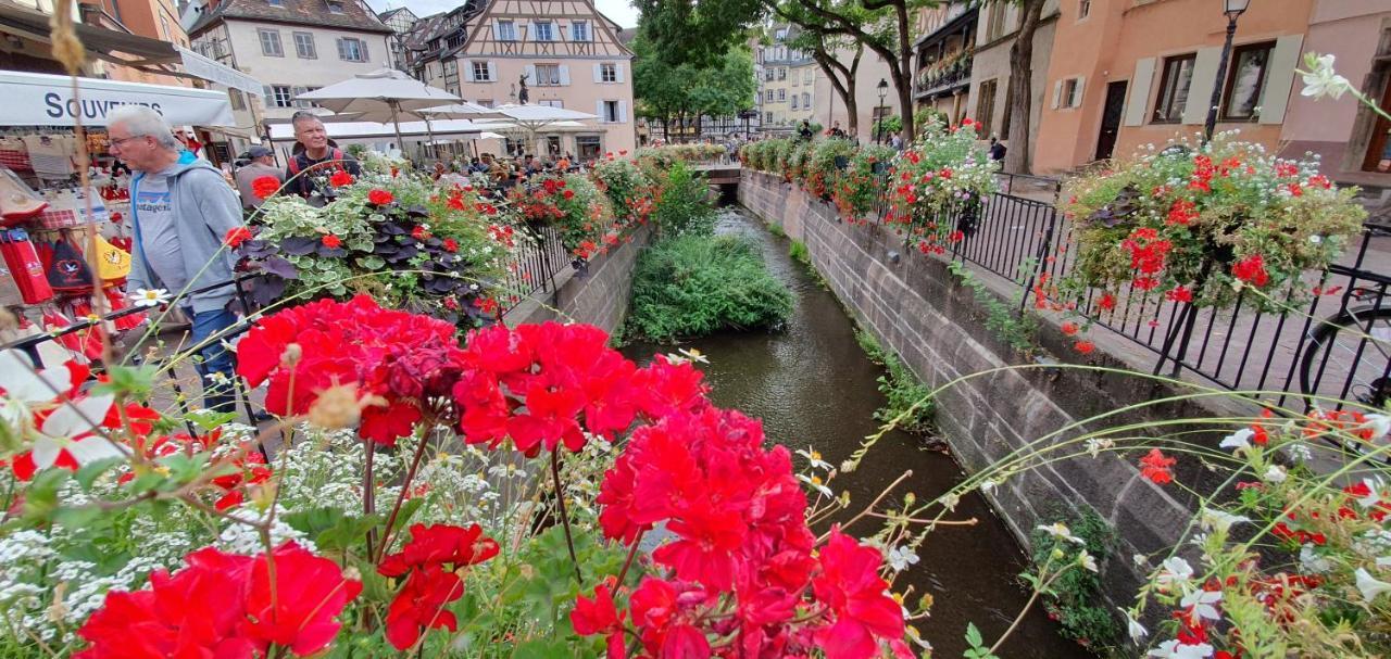 Le Green St Leon : Lit Queen Size * Wifi * Ideal Couple Colmar Exteriér fotografie