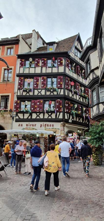 Le Green St Leon : Lit Queen Size * Wifi * Ideal Couple Colmar Exteriér fotografie